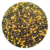 Biologic Rapeseed