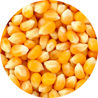 Biologic Corn