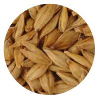 Biologic Barley