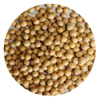 Biologic Soy